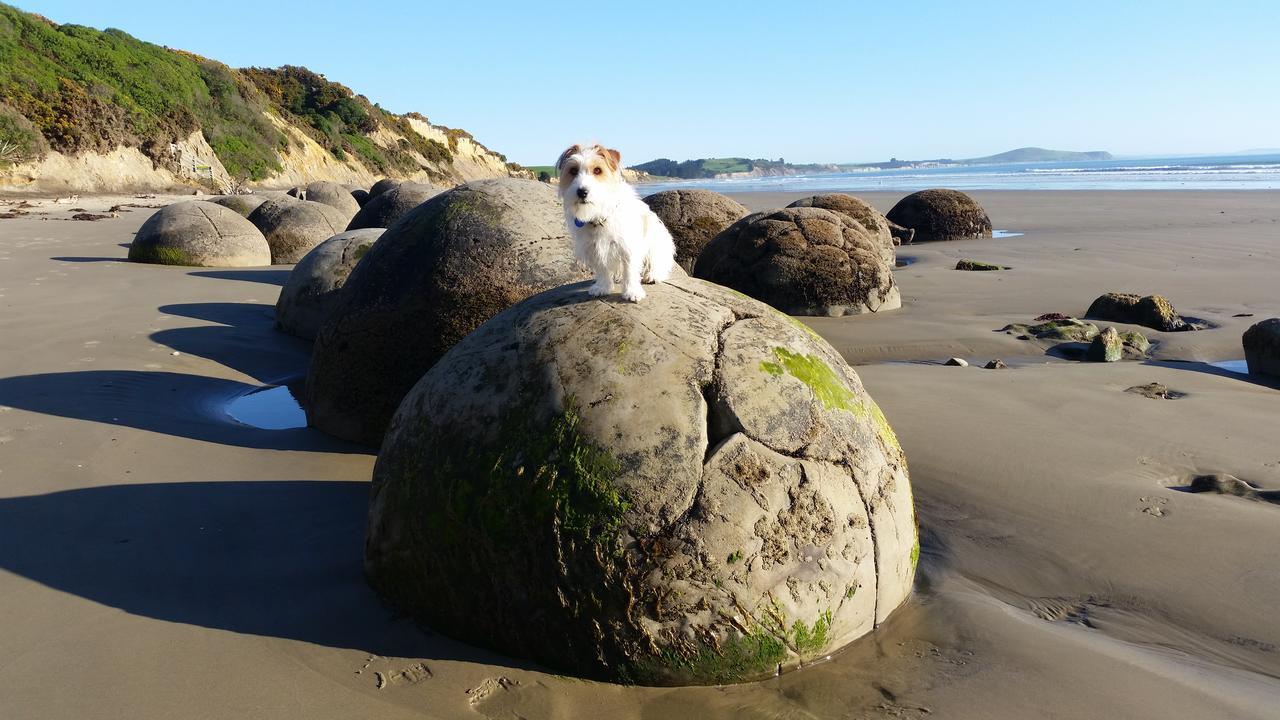 Moeraki Boulders Motel Hampden Exterior photo